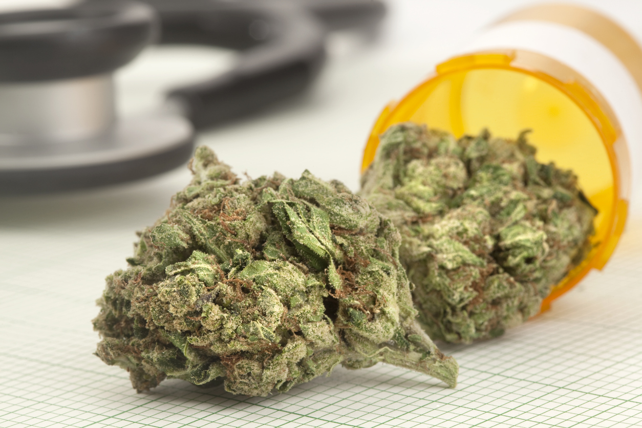 Cannabis Legalisierung 2025 – Was hat sich geändert?