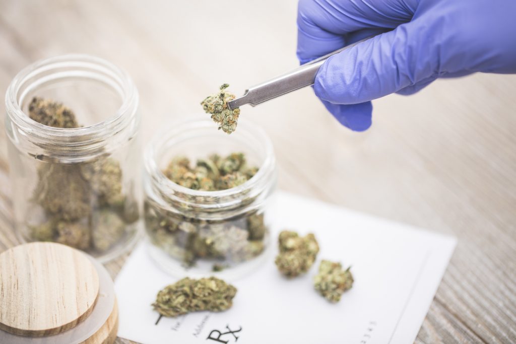 Wie bekommt man ein Cannabis-Rezept in Deutschland?