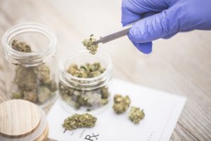 Wie bekommt man ein Cannabis-Rezept in Deutschland?