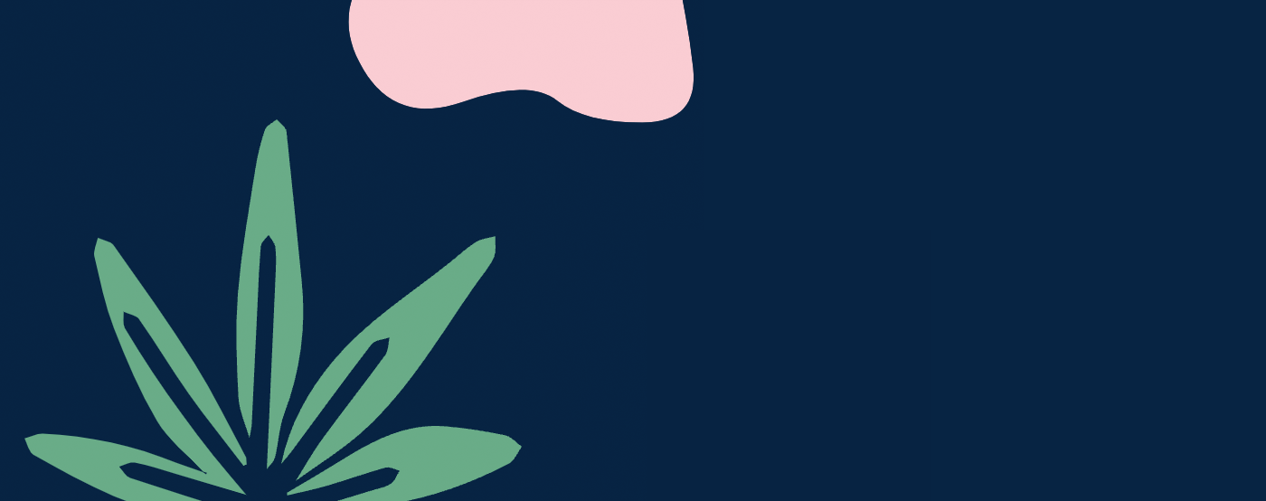 vergleiche-medizinische-cannabis-shops-deutschland